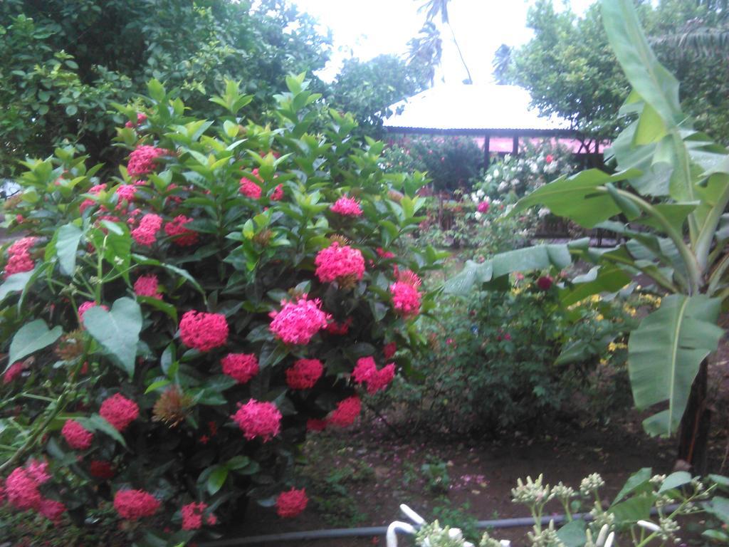 Hostal La Cascada San Ramon Mérida Exteriör bild