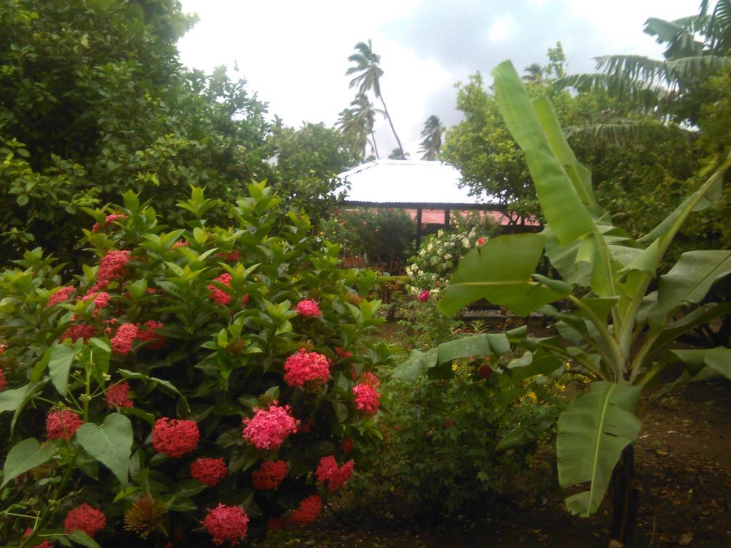 Hostal La Cascada San Ramon Mérida Exteriör bild